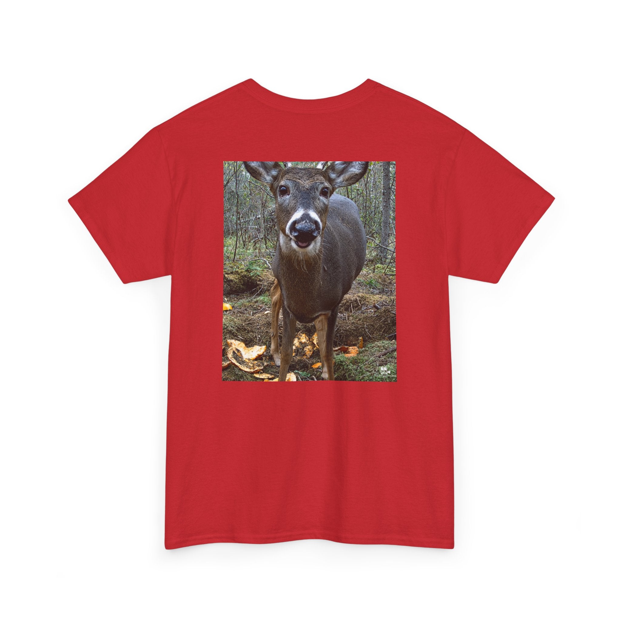 Curious Deer Graphic Tee - Adult Unisex T-Shirt - The Outdoor Theater