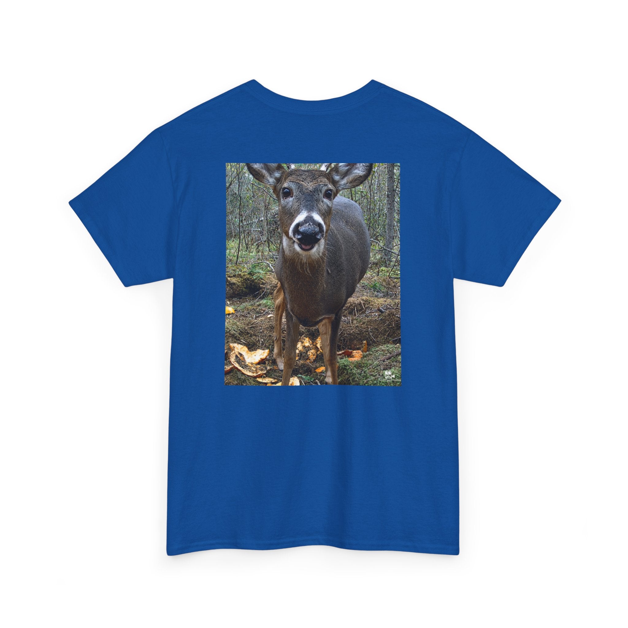 Curious Deer Graphic Tee - Adult Unisex T-Shirt - The Outdoor Theater