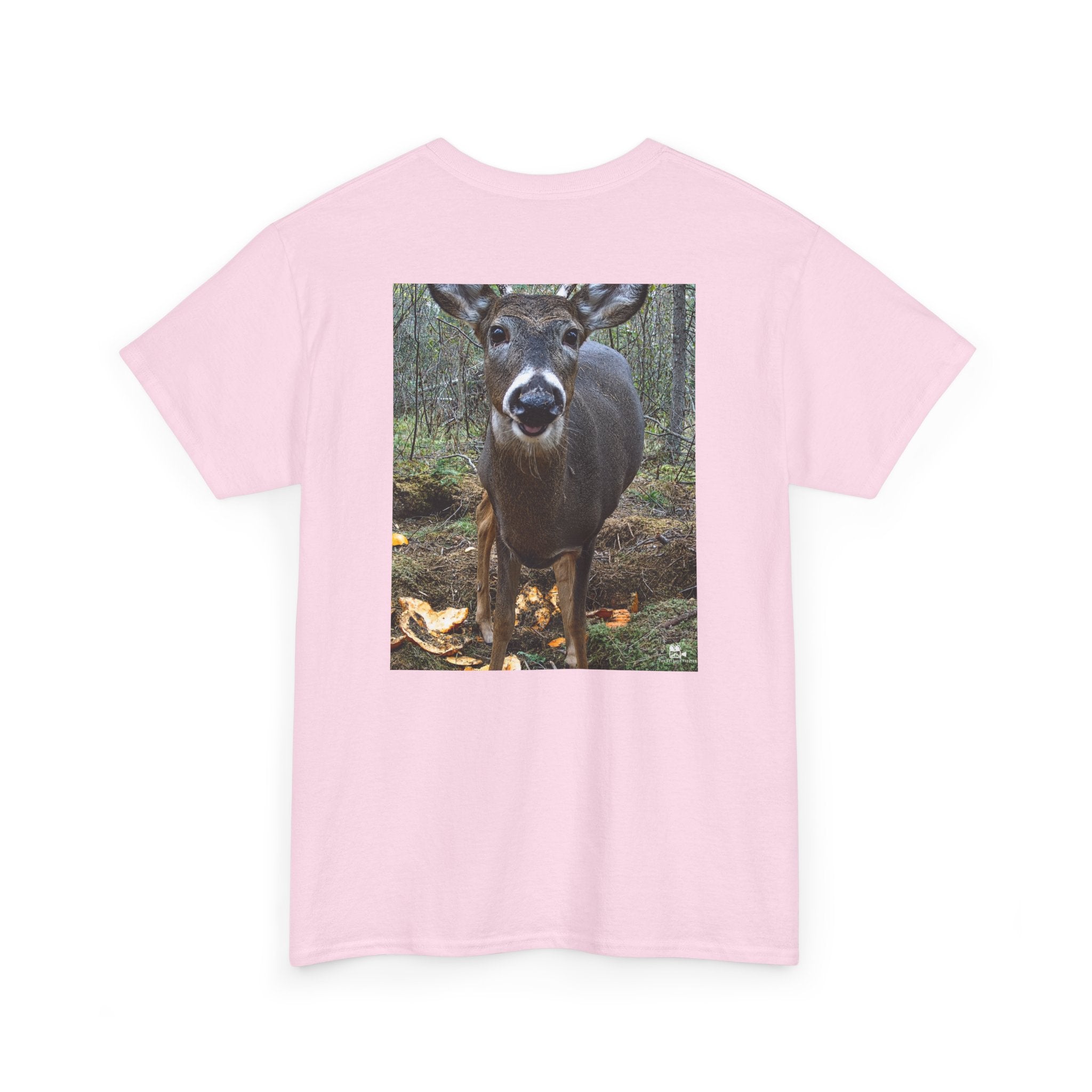 Curious Deer Graphic Tee - Adult Unisex T-Shirt - The Outdoor Theater