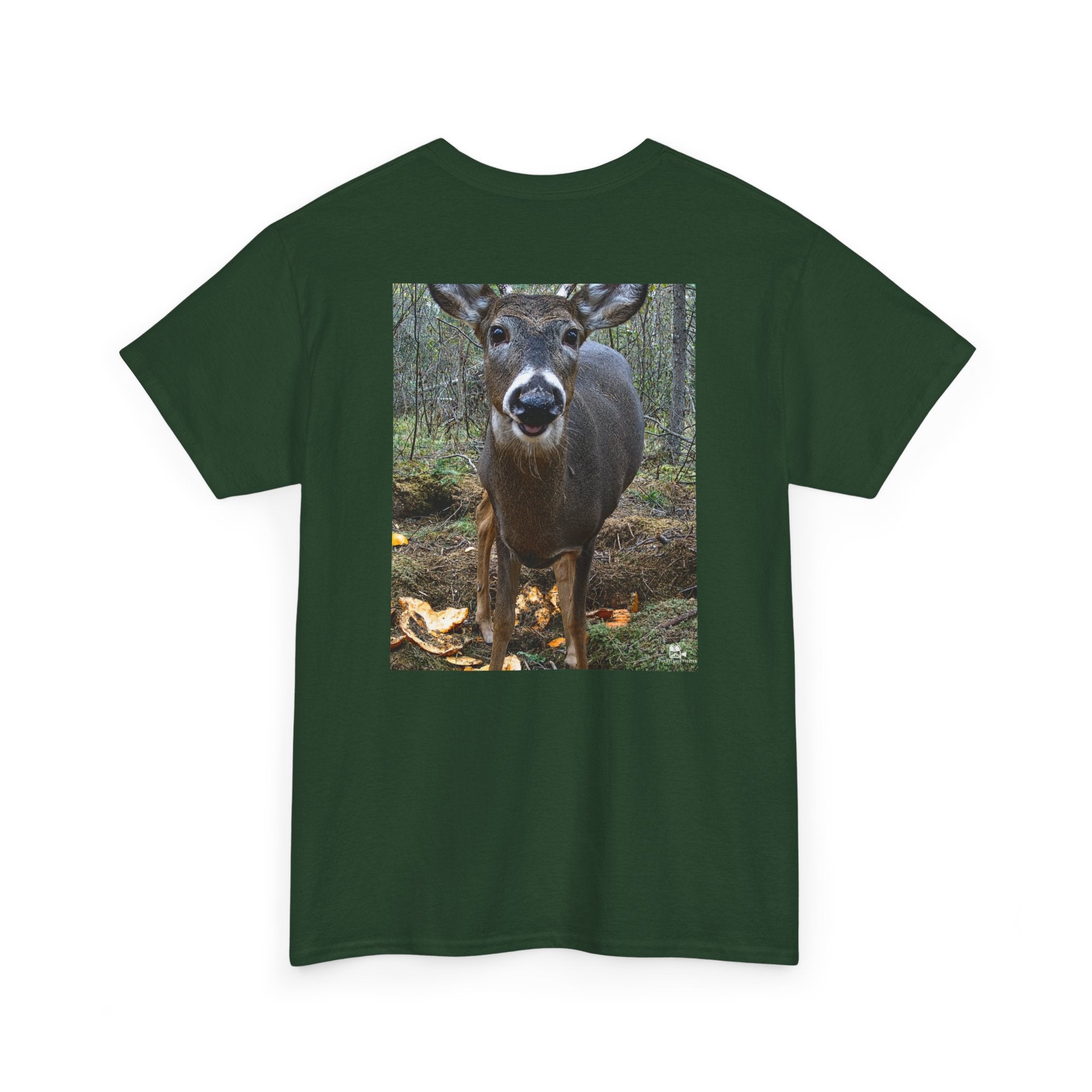 Curious Deer Graphic Tee - Adult Unisex T-Shirt - The Outdoor Theater