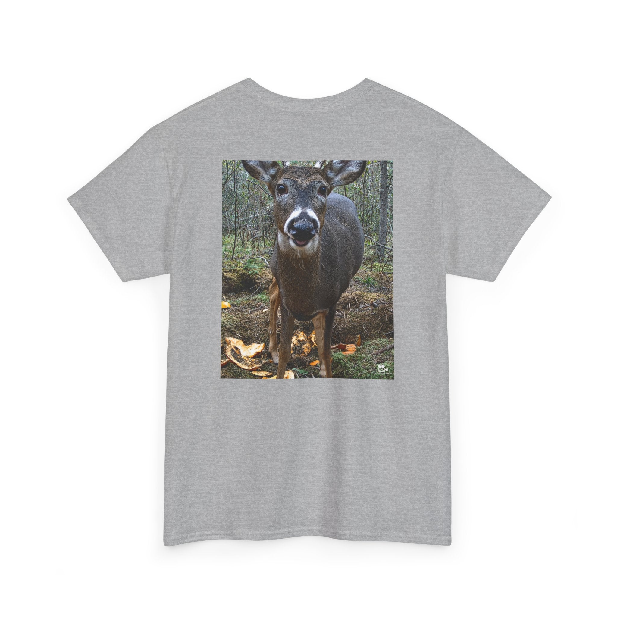 Curious Deer Graphic Tee - Adult Unisex T-Shirt - The Outdoor Theater