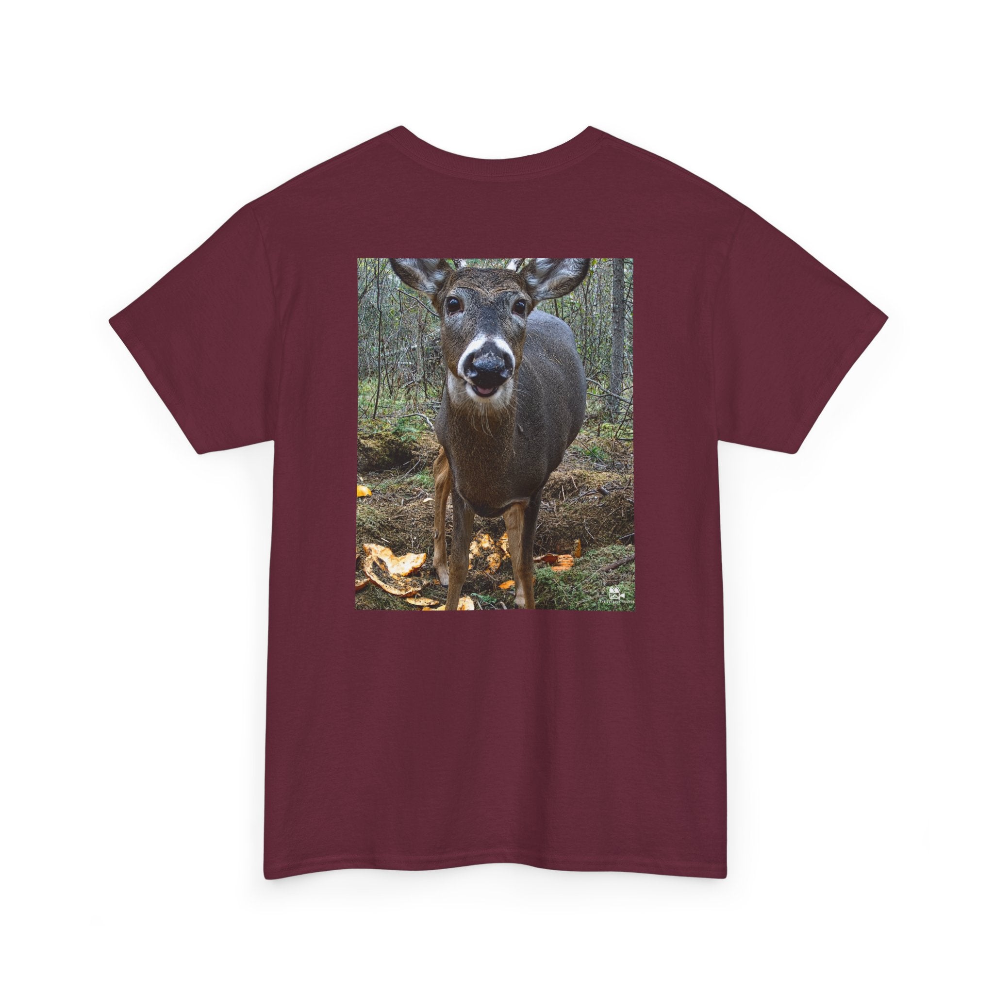 Curious Deer Graphic Tee - Adult Unisex T-Shirt - The Outdoor Theater
