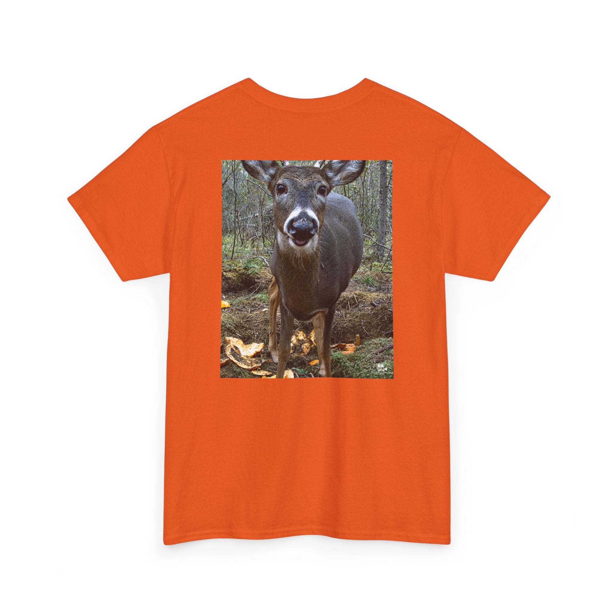 Curious Deer Graphic Tee - Adult Unisex T-Shirt - The Outdoor Theater