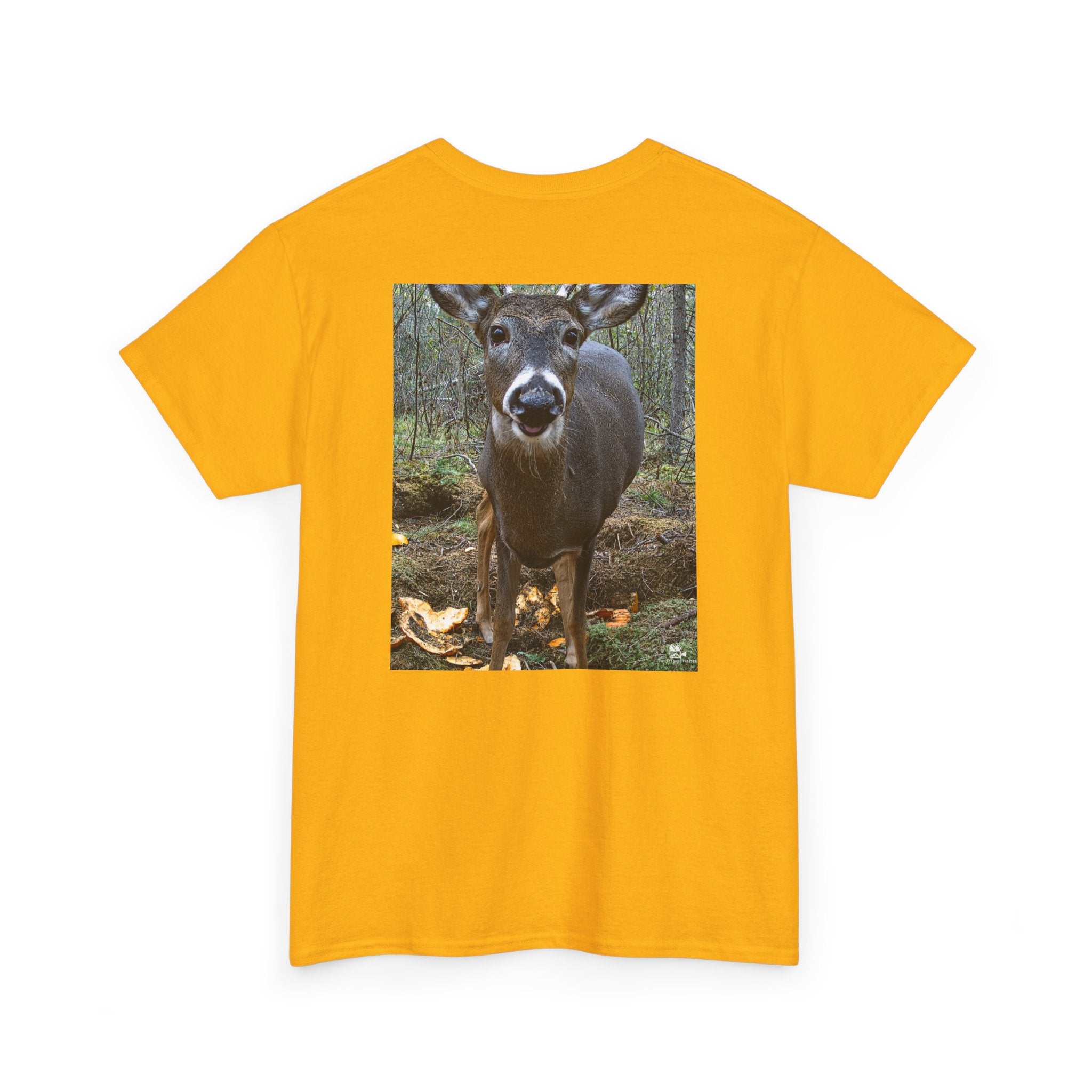 Curious Deer Graphic Tee - Adult Unisex T-Shirt - The Outdoor Theater