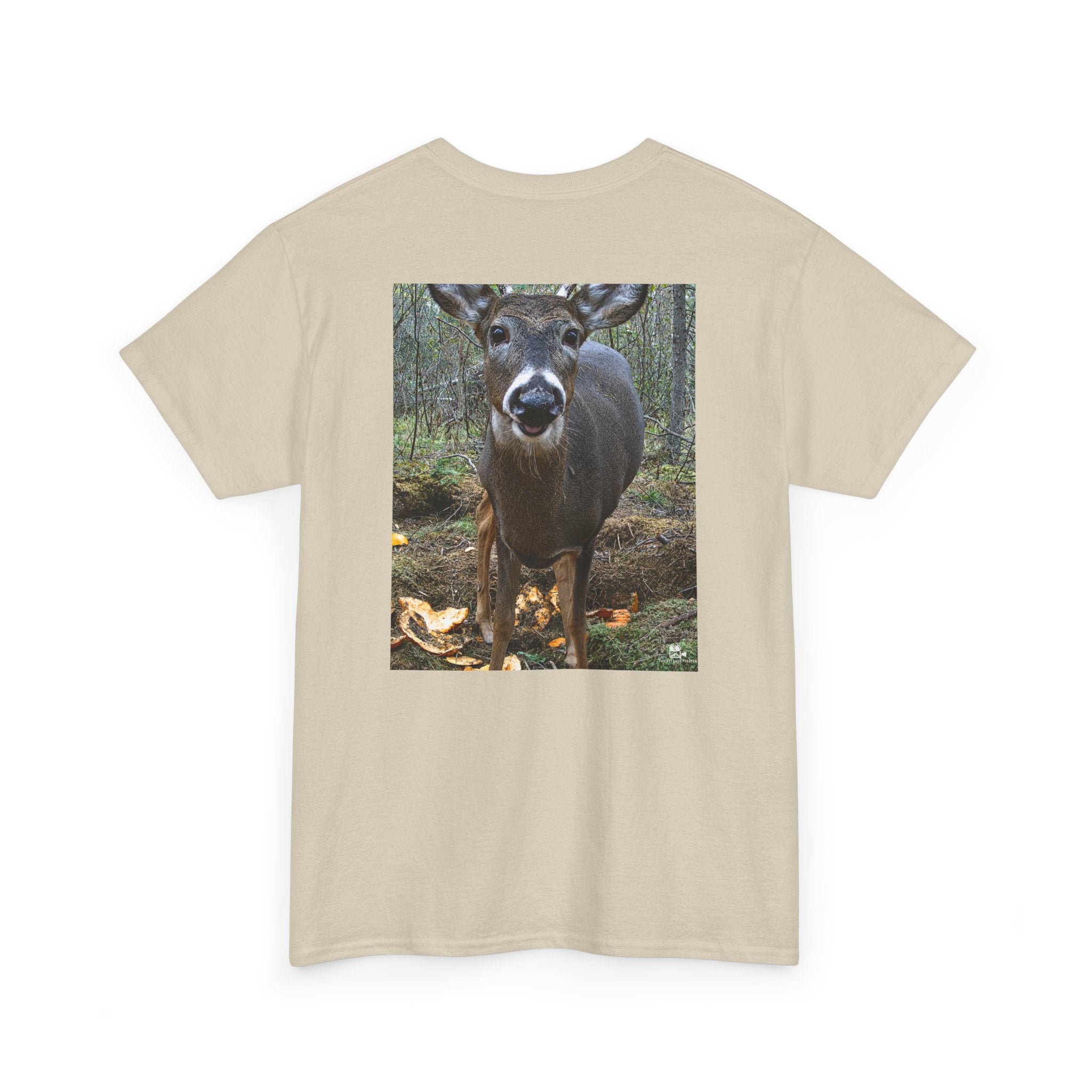 Curious Deer Graphic Tee - Adult Unisex T-Shirt - The Outdoor Theater